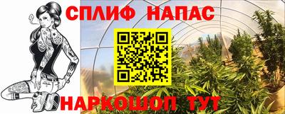 трава Партизанск
