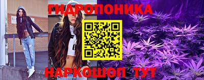 шишки Пенза