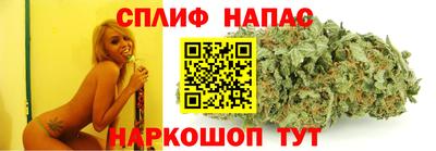 трава Партизанск